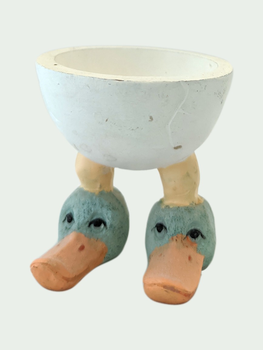 Vaječník #436c